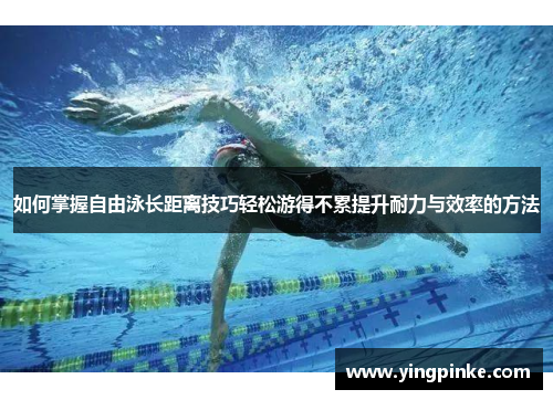 如何掌握自由泳长距离技巧轻松游得不累提升耐力与效率的方法