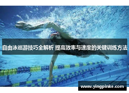 自由泳巡游技巧全解析 提高效率与速度的关键训练方法