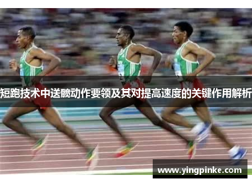 短跑技术中送髋动作要领及其对提高速度的关键作用解析